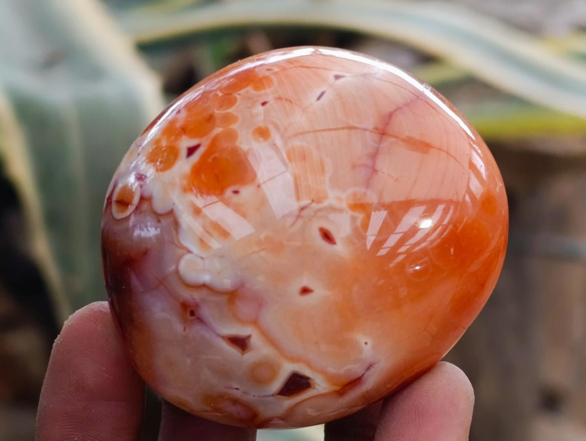 Polished Carnelian Agate Gemstone Galets x 12 From Madagascar - Toprock Gemstones and Minerals 