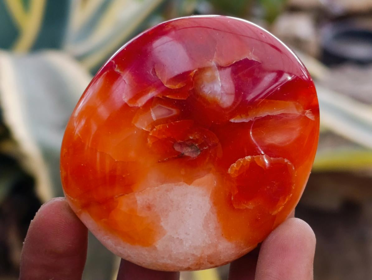 Polished Carnelian Agate Gemstone Galets x 12 From Madagascar - Toprock Gemstones and Minerals 