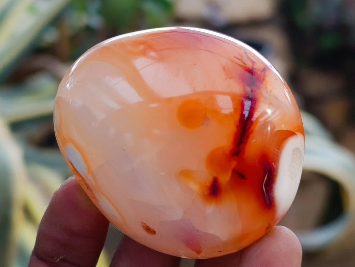 Polished Carnelian Agate Gemstone Galets x 12 From Madagascar - Toprock Gemstones and Minerals 