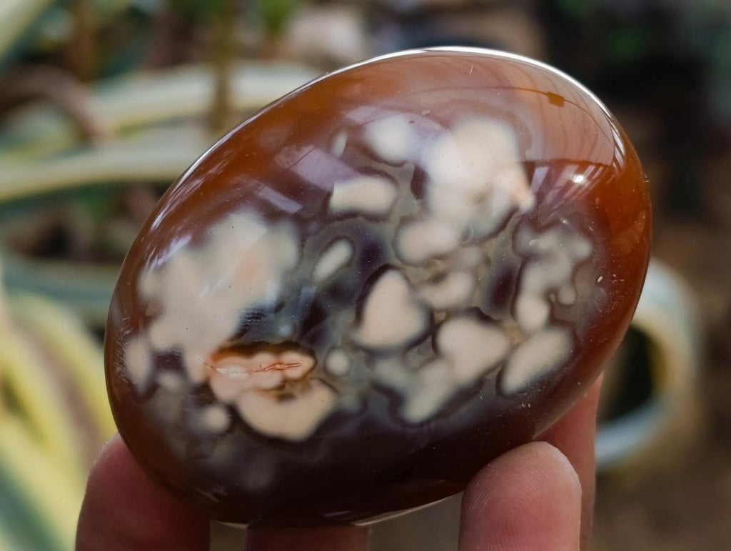 Polished Carnelian Agate Gemstone Galets x 12 From Madagascar - Toprock Gemstones and Minerals 