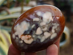 Polished Carnelian Agate Gemstone Galets x 12 From Madagascar - Toprock Gemstones and Minerals 