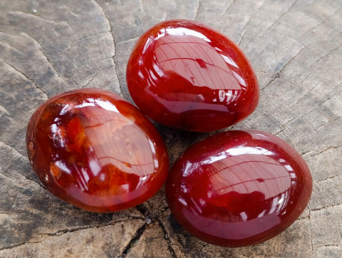 Polished Carnelian Agate Gemstone Galets x 12 From Madagascar - Toprock Gemstones and Minerals 