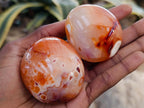 Polished Carnelian Agate Gemstone Galets x 12 From Madagascar - Toprock Gemstones and Minerals 