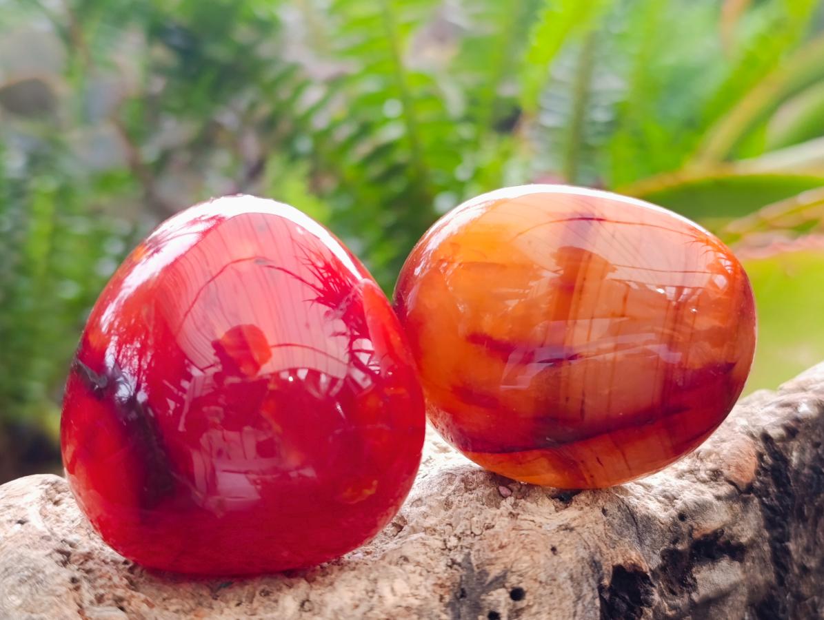 Polished Carnelian Agate Gemstone Galets x 12 From Madagascar - Toprock Gemstones and Minerals 