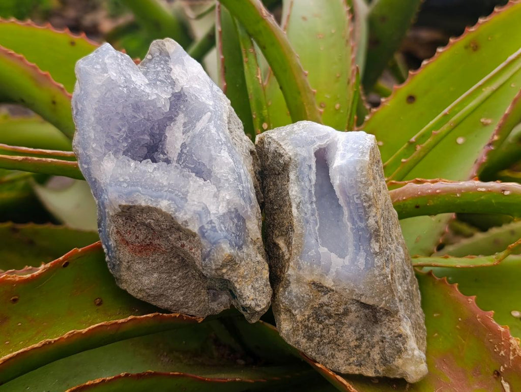 Natural Blue Lace Agate Geode Specimens x 8 From Nsanje, Malawi - Toprock Gemstones and Minerals 