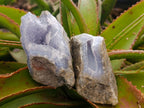 Natural Blue Lace Agate Geode Specimens x 8 From Nsanje, Malawi - Toprock Gemstones and Minerals 