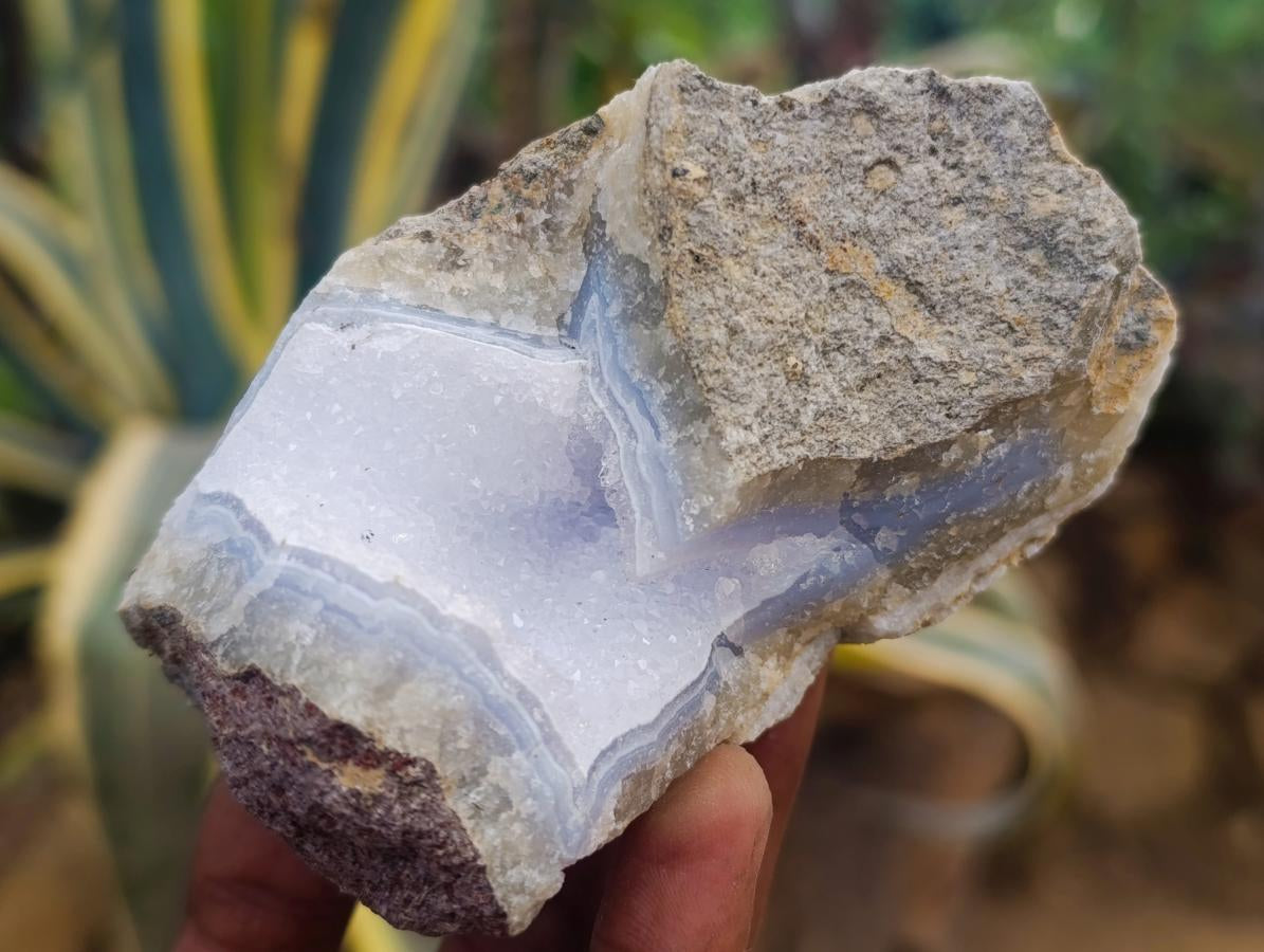 Natural Blue Lace Agate Geode Specimens x 8 From Nsanje, Malawi - Toprock Gemstones and Minerals 