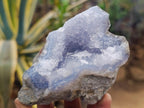 Natural Blue Lace Agate Geode Specimens x 8 From Nsanje, Malawi - Toprock Gemstones and Minerals 