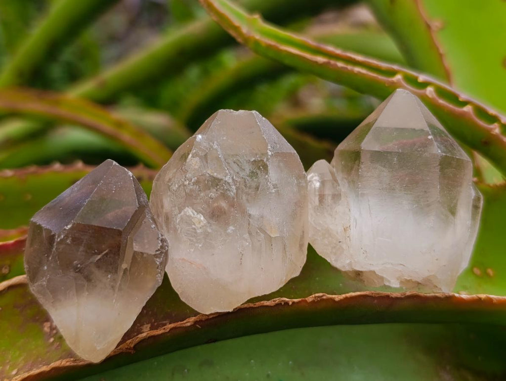 Natural Smokey and Clear Quartz Crystals x 35 From Zimbabwe - Toprock Gemstones and Minerals 