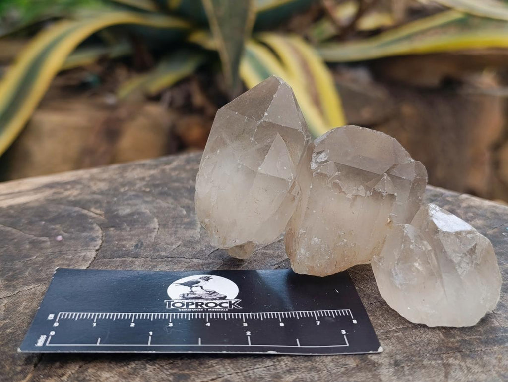 Natural Smokey and Clear Quartz Crystals x 35 From Zimbabwe - Toprock Gemstones and Minerals 