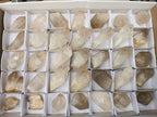 Natural Smokey and Clear Quartz Crystals x 35 From Zimbabwe - Toprock Gemstones and Minerals 