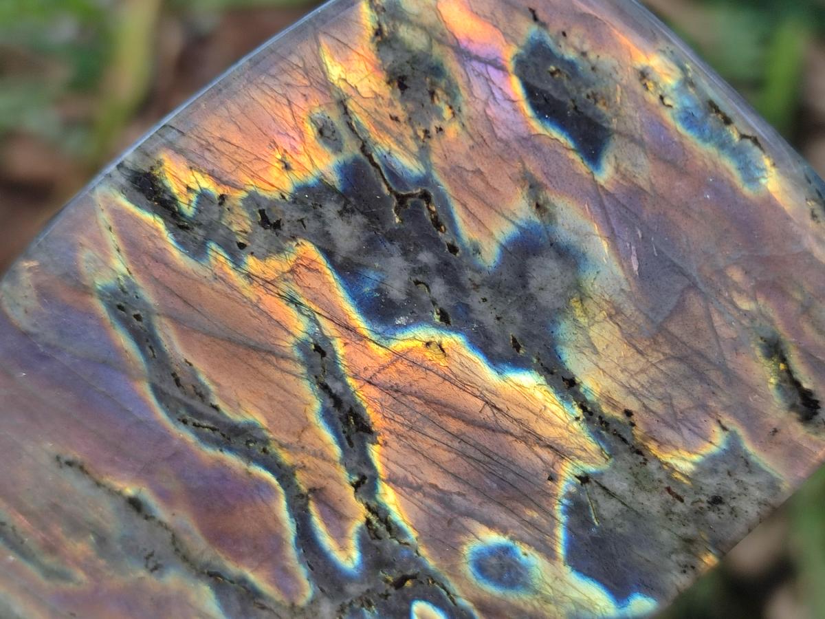 Polished Rare Purple Sunset Flash Labradorite Standing Free Forms x 4 From Madagascar - Toprock Gemstones and Minerals 