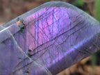 Polished Rare Purple Sunset Flash Labradorite Standing Free Forms x 4 From Madagascar - Toprock Gemstones and Minerals 