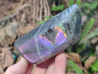Polished Rare Purple Sunset Flash Labradorite Standing Free Forms x 4 From Madagascar - Toprock Gemstones and Minerals 