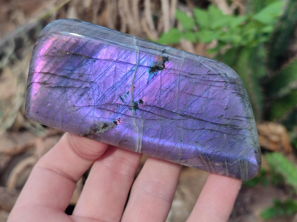 Polished Rare Purple Sunset Flash Labradorite Standing Free Forms x 4 From Madagascar - Toprock Gemstones and Minerals 