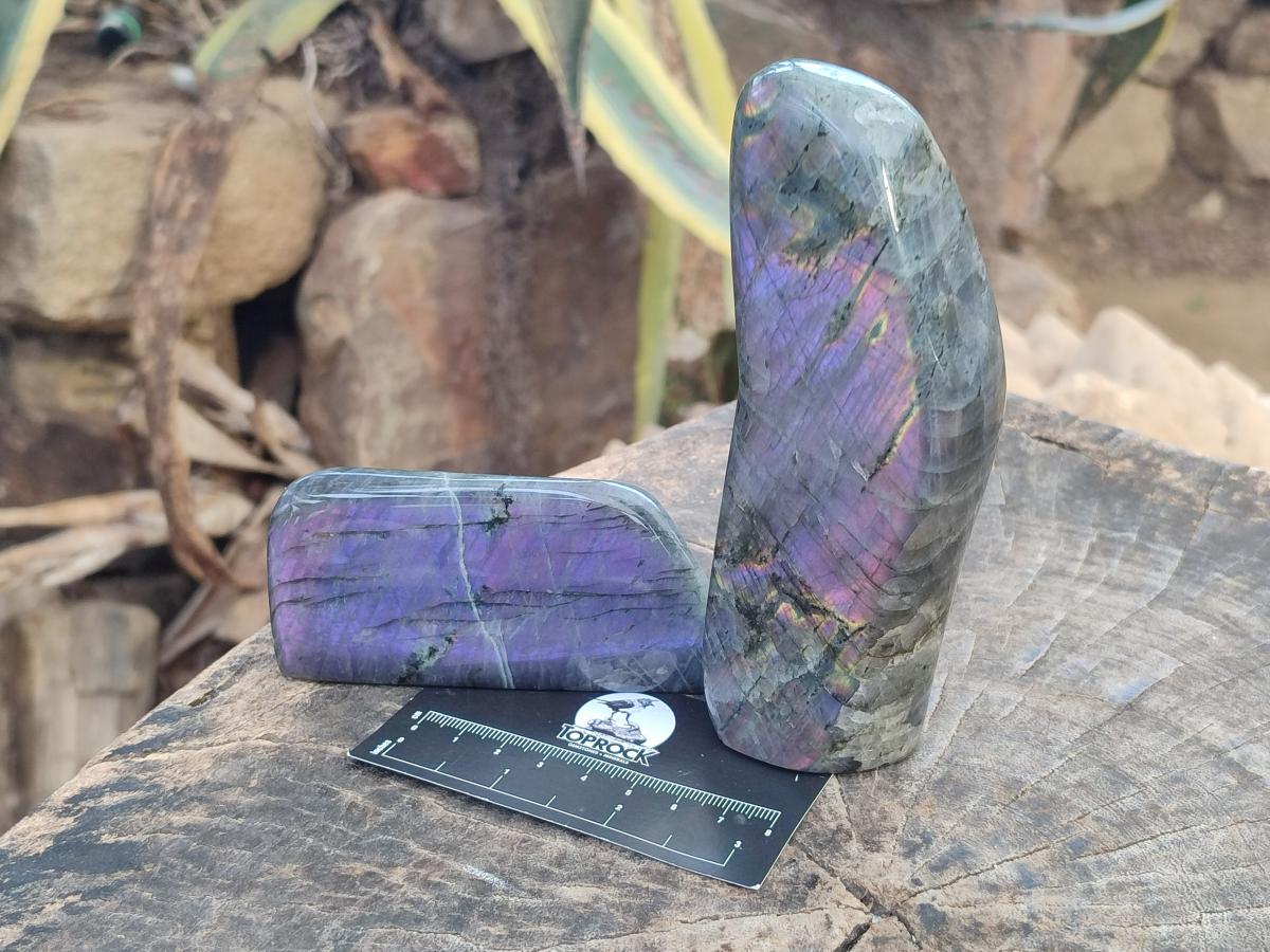 Polished Rare Purple Sunset Flash Labradorite Standing Free Forms x 4 From Madagascar - Toprock Gemstones and Minerals 