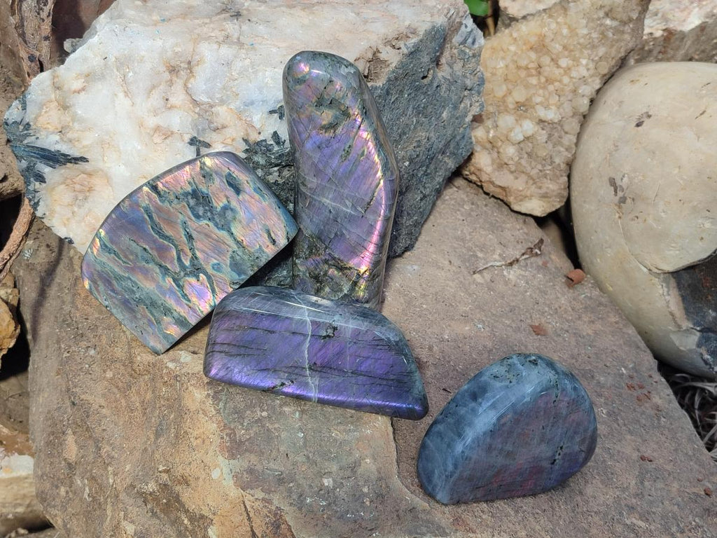 Polished Rare Purple Sunset Flash Labradorite Standing Free Forms x 4 From Madagascar - Toprock Gemstones and Minerals 