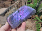 Polished Rare Purple Sunset Flash Labradorite Standing Free Forms x 4 From Madagascar - Toprock Gemstones and Minerals 
