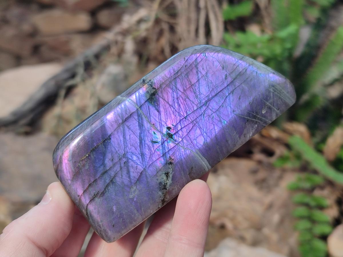 Polished Rare Purple Sunset Flash Labradorite Standing Free Forms x 4 From Madagascar - Toprock Gemstones and Minerals 