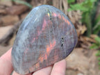 Polished Rare Purple Sunset Flash Labradorite Standing Free Forms x 4 From Madagascar - Toprock Gemstones and Minerals 