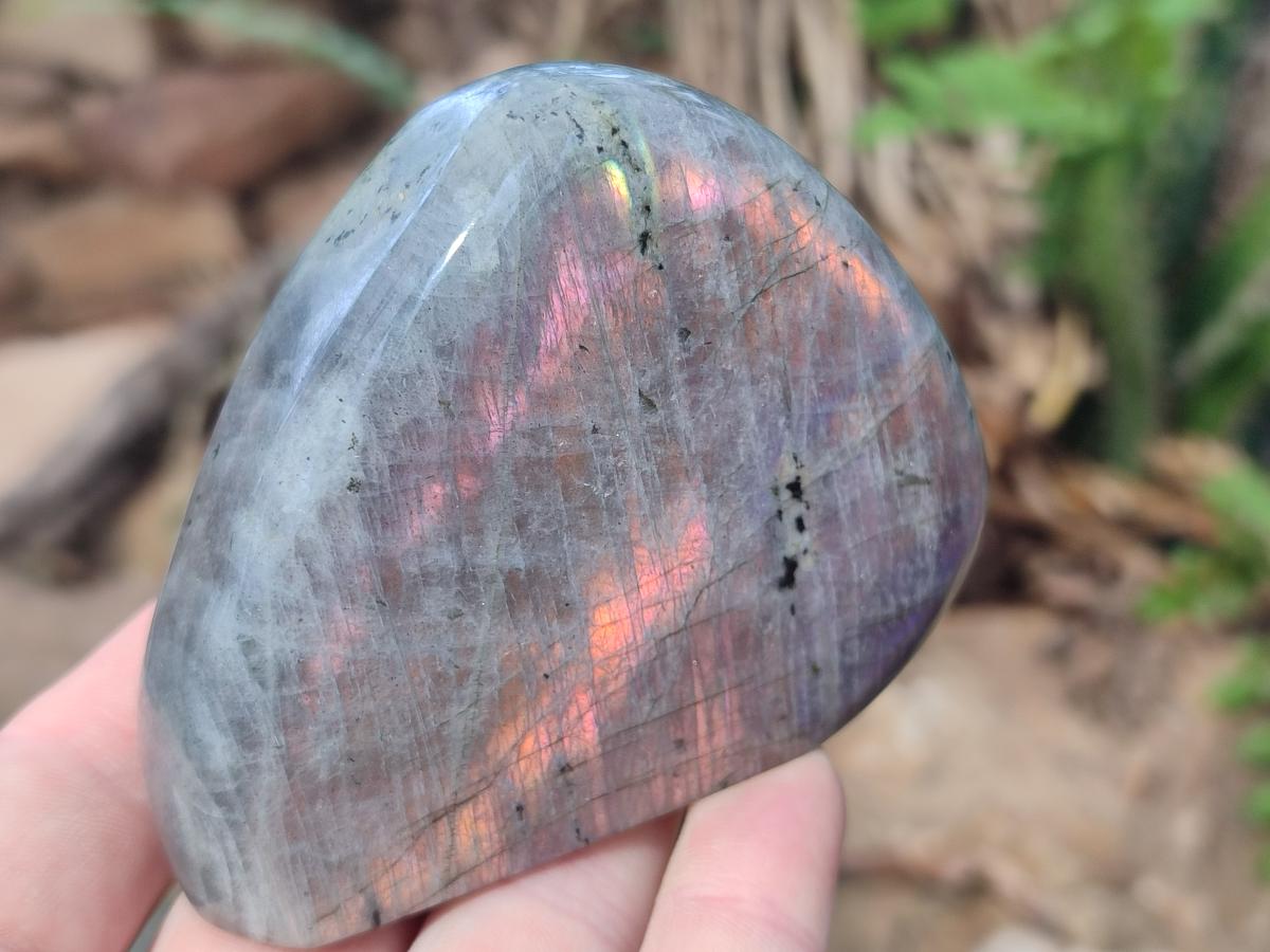 Polished Rare Purple Sunset Flash Labradorite Standing Free Forms x 4 From Madagascar - Toprock Gemstones and Minerals 