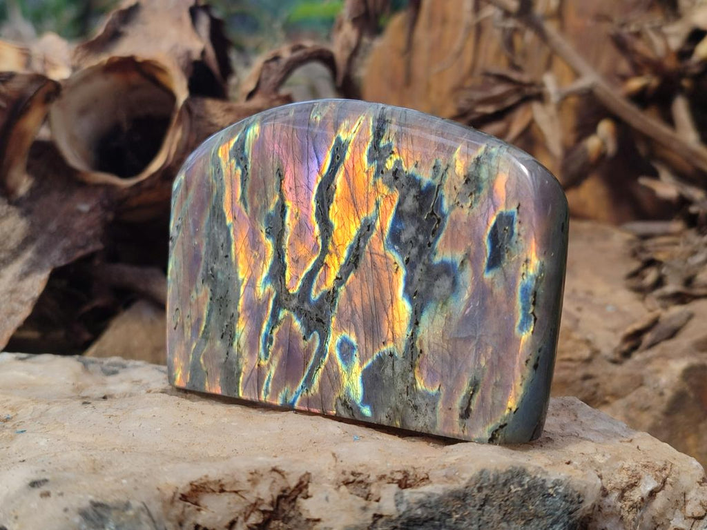 Polished Rare Purple Sunset Flash Labradorite Standing Free Forms x 4 From Madagascar - Toprock Gemstones and Minerals 