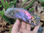 Polished Rare Purple Sunset Flash Labradorite Standing Free Forms x 4 From Madagascar - Toprock Gemstones and Minerals 