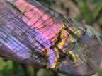 Polished Rare Purple Sunset Flash Labradorite Standing Free Forms x 4 From Madagascar - Toprock Gemstones and Minerals 