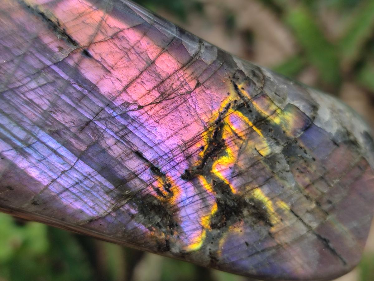 Polished Rare Purple Sunset Flash Labradorite Standing Free Forms x 4 From Madagascar - Toprock Gemstones and Minerals 
