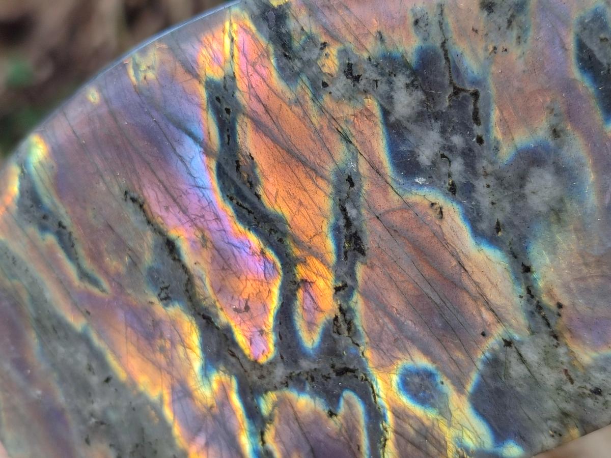 Polished Rare Purple Sunset Flash Labradorite Standing Free Forms x 4 From Madagascar - Toprock Gemstones and Minerals 