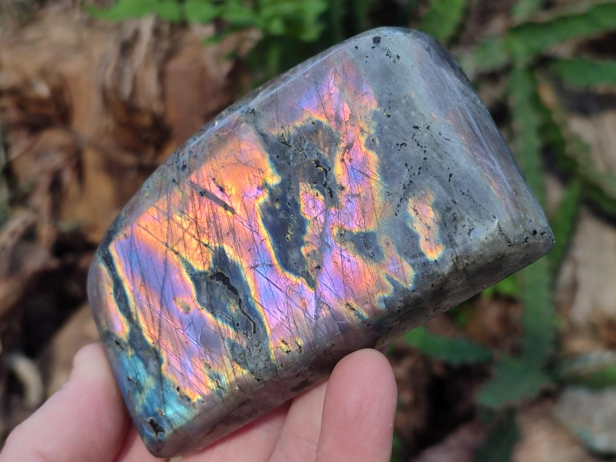 Polished Rare Purple Sunset Flash Labradorite Standing Free Forms x 4 From Madagascar - Toprock Gemstones and Minerals 