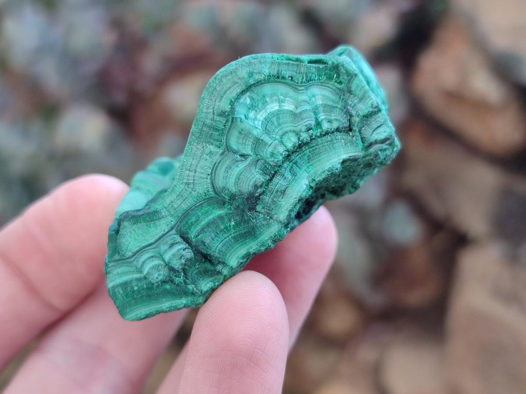 Natural Botryoidal Malachite Specimens x 12 From Congo - Toprock Gemstones and Minerals 