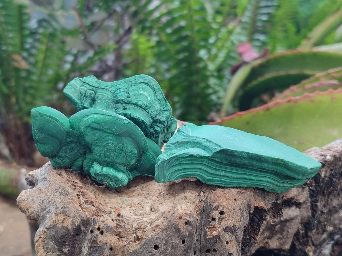 Natural Botryoidal Malachite Specimens x 12 From Congo - Toprock Gemstones and Minerals 