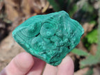 Natural Botryoidal Malachite Specimens x 12 From Congo - Toprock Gemstones and Minerals 