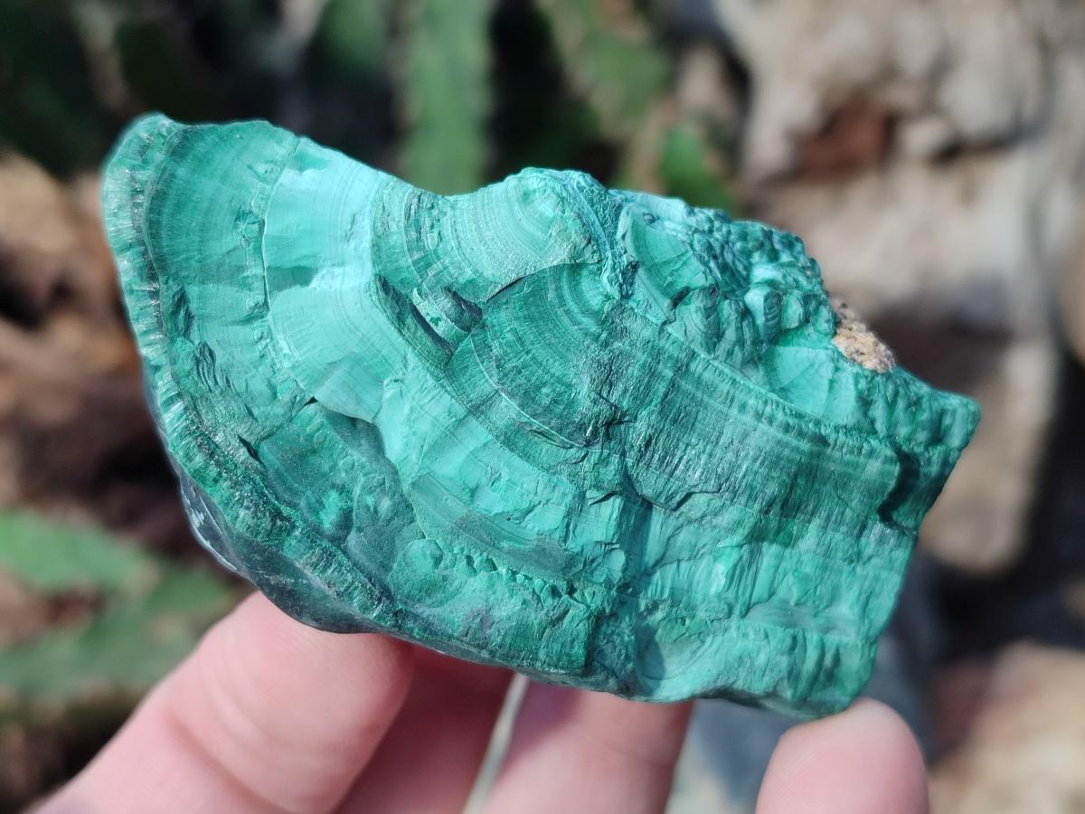 Natural Botryoidal Malachite Specimens x 12 From Congo - Toprock Gemstones and Minerals 
