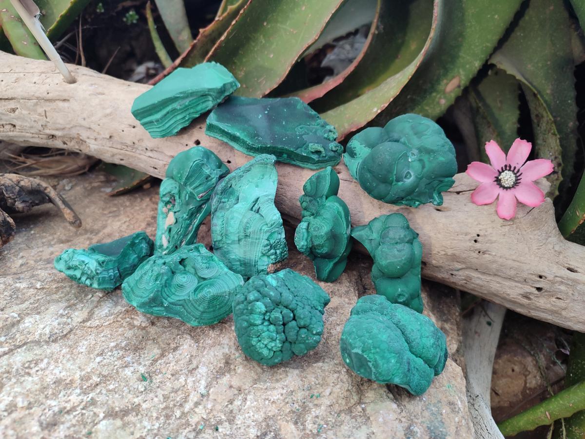 Natural Botryoidal Malachite Specimens x 12 From Congo - Toprock Gemstones and Minerals 