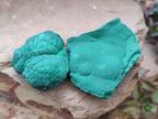 Natural Botryoidal Malachite Specimens x 12 From Congo - Toprock Gemstones and Minerals 