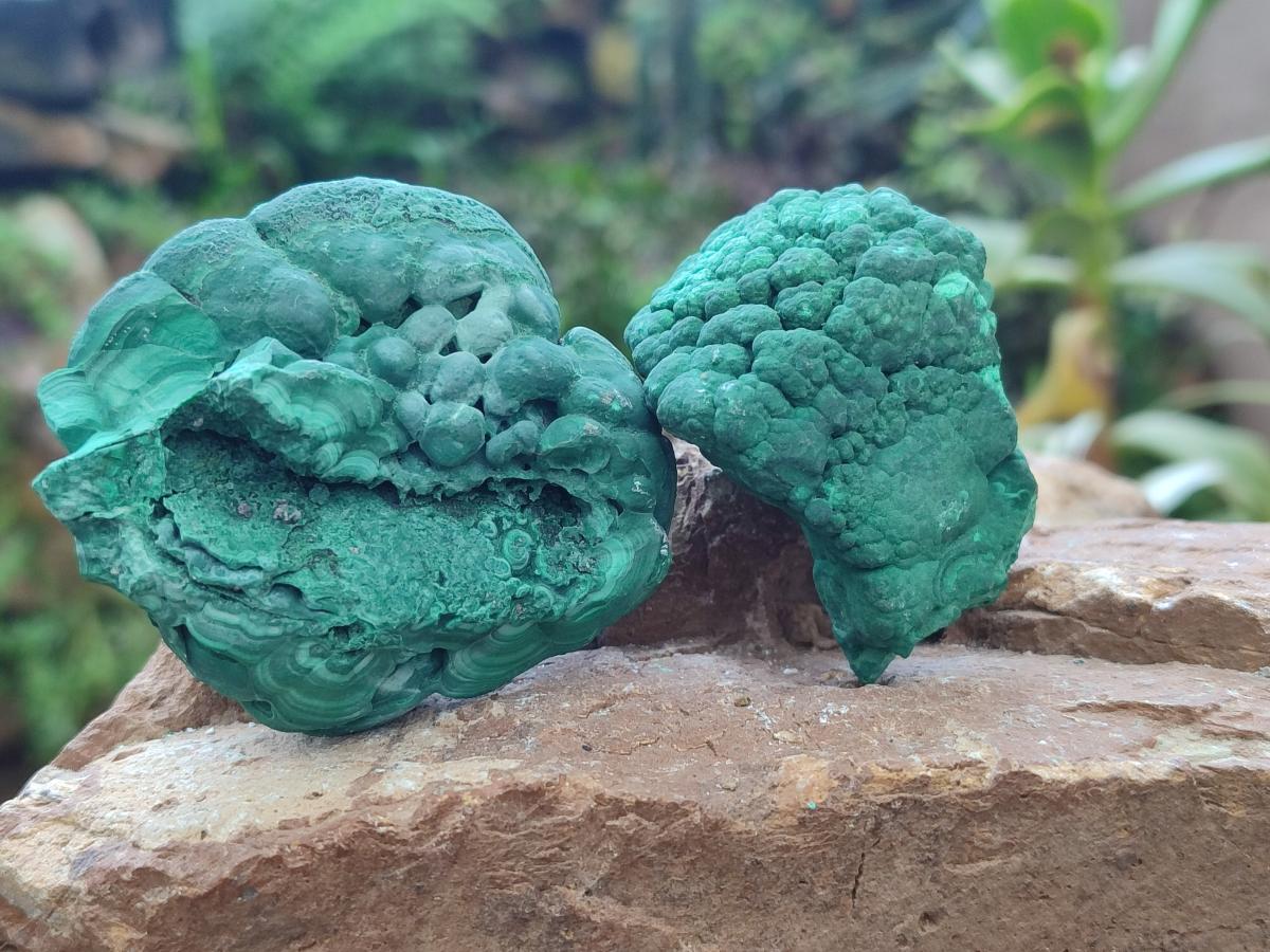 Natural Botryoidal Malachite Specimens x 12 From Congo - Toprock Gemstones and Minerals 