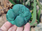 Natural Botryoidal Malachite Specimens x 12 From Congo - Toprock Gemstones and Minerals 