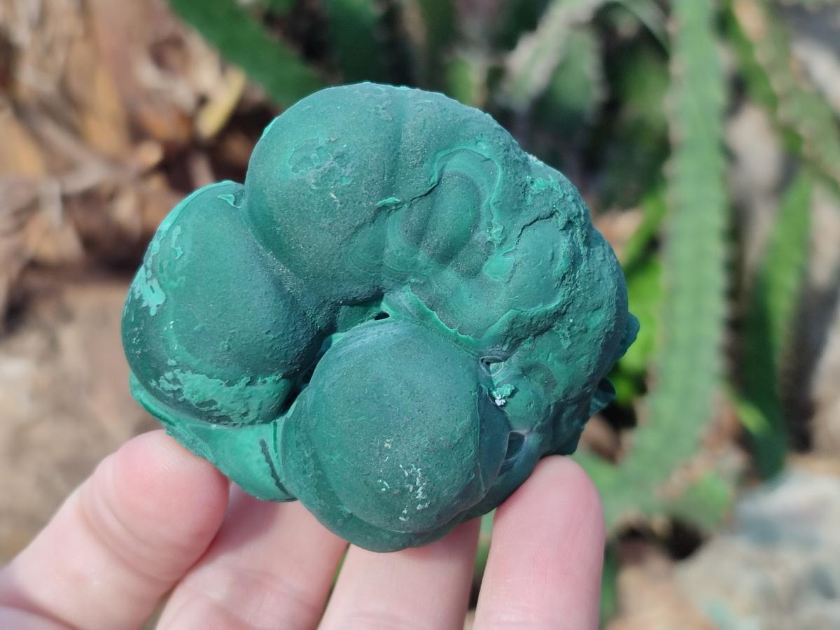Natural Botryoidal Malachite Specimens x 12 From Congo - Toprock Gemstones and Minerals 