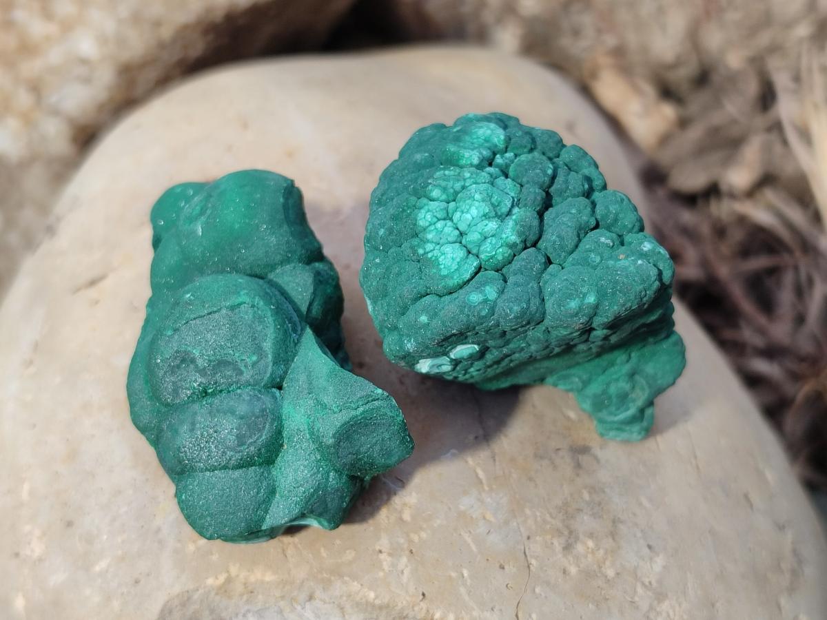 Natural Botryoidal Malachite Specimens x 12 From Congo - Toprock Gemstones and Minerals 