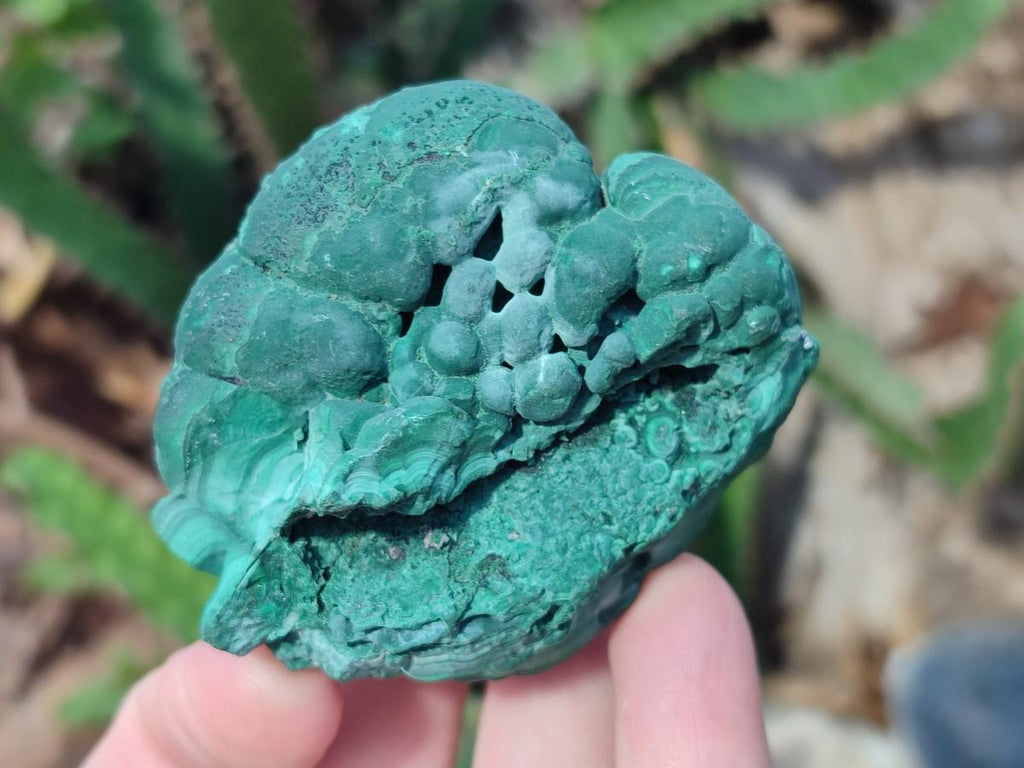 Natural Botryoidal Malachite Specimens x 12 From Congo - Toprock Gemstones and Minerals 
