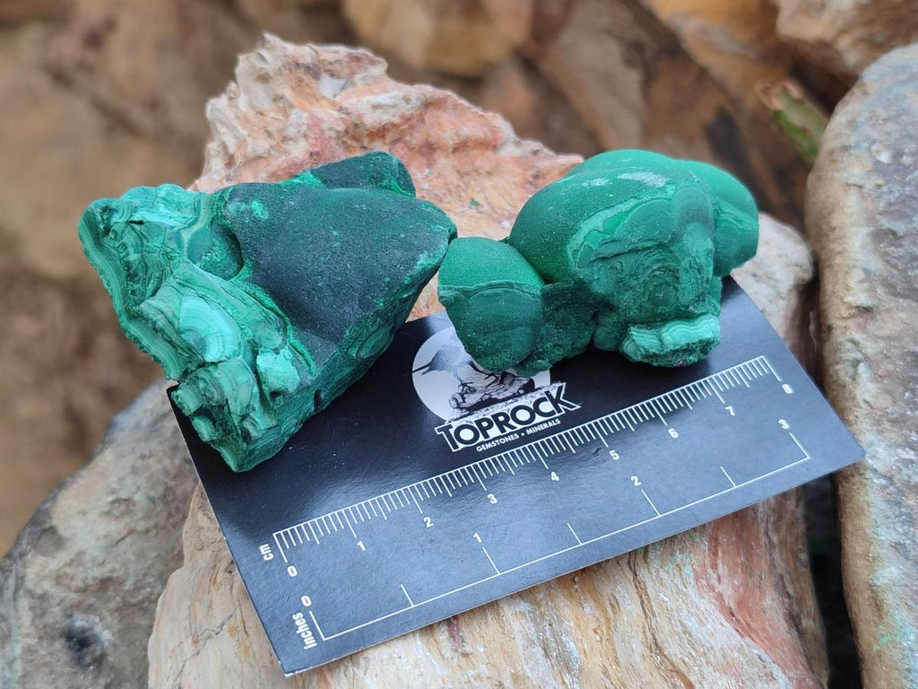 Natural Botryoidal Malachite Specimens x 12 From Congo - Toprock Gemstones and Minerals 