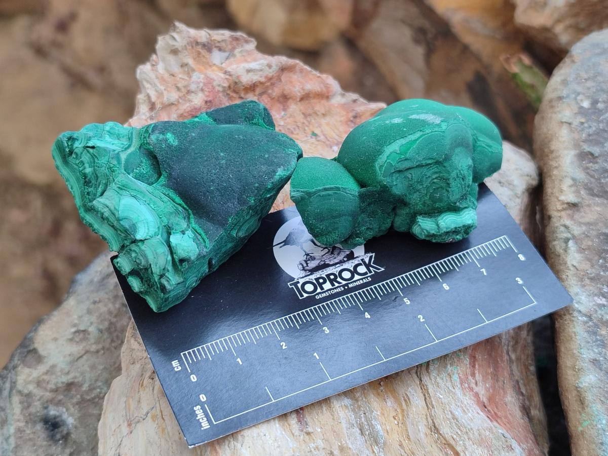 Natural Botryoidal Malachite Specimens x 12 From Congo - Toprock Gemstones and Minerals 