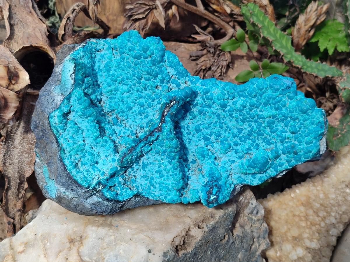 Natural Large Bright Blue Silica Chrysocolla Specimen x 1 From Kulukuluku, Congo - Toprock Gemstones and Minerals 