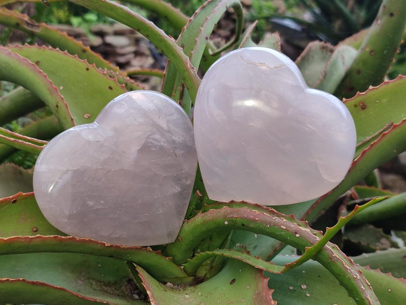 Polished Gemmy Girasol Rose Quartz Hearts x 3 From Madagascar - Toprock Gemstones and Minerals 