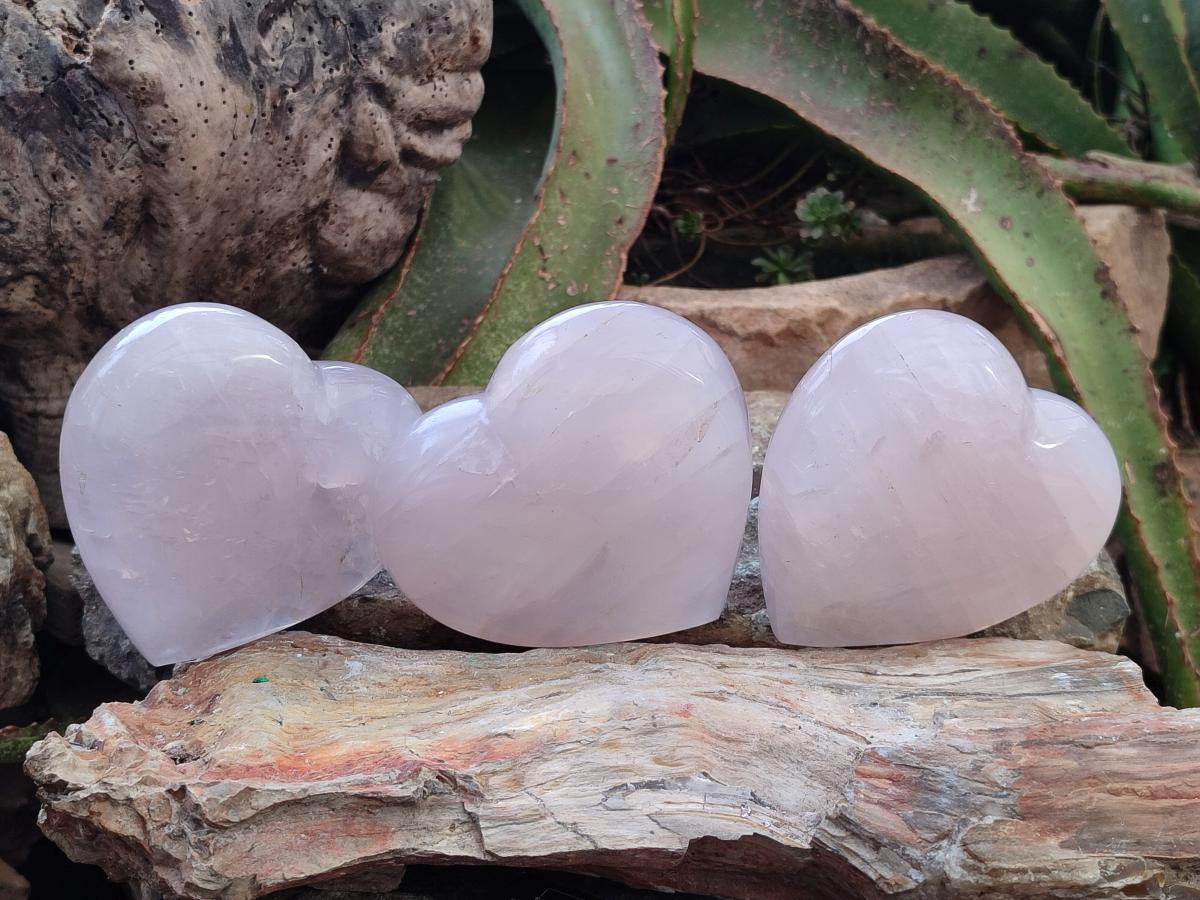 Polished Gemmy Girasol Rose Quartz Hearts x 3 From Madagascar - Toprock Gemstones and Minerals 