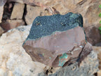 Natural Libethenite Crystals on Hematoid Matrix Specimens x 2 From Shituru, Congo - Toprock Gemstones and Minerals 