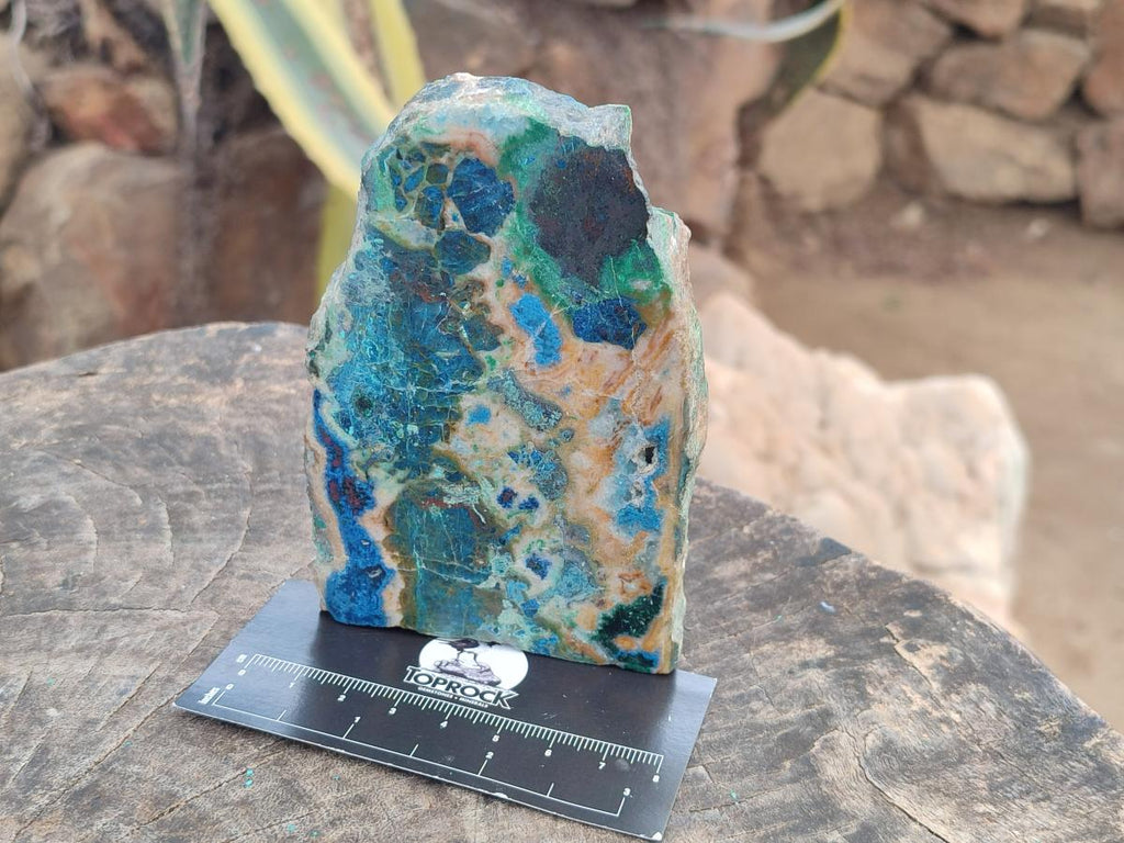 Polished One Side Shattuckite Slices x 6 From Kaokoveld, Namibia - Toprock Gemstones and Minerals 