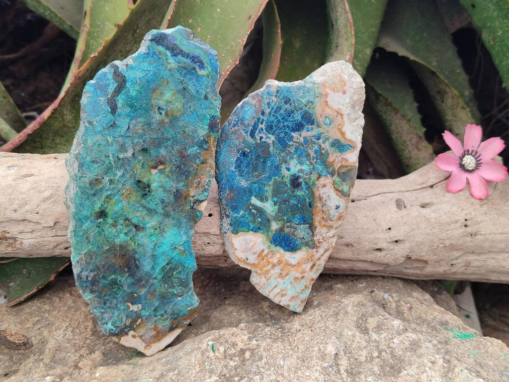 Polished One Side Shattuckite Slices x 6 From Kaokoveld, Namibia - Toprock Gemstones and Minerals 